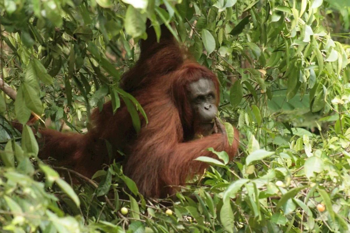 Główne zdjęcie galerii