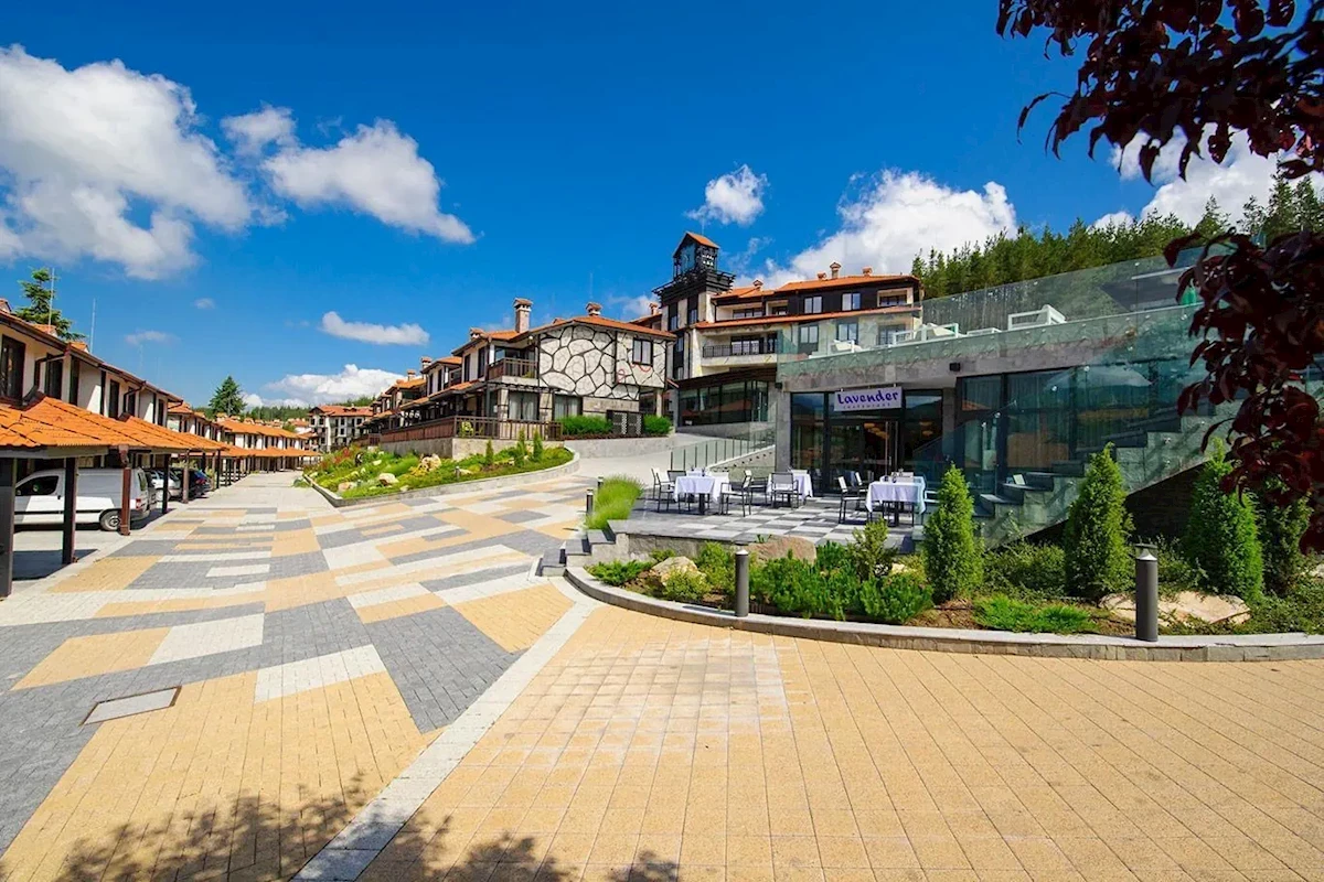 Główne zdjęcie galerii