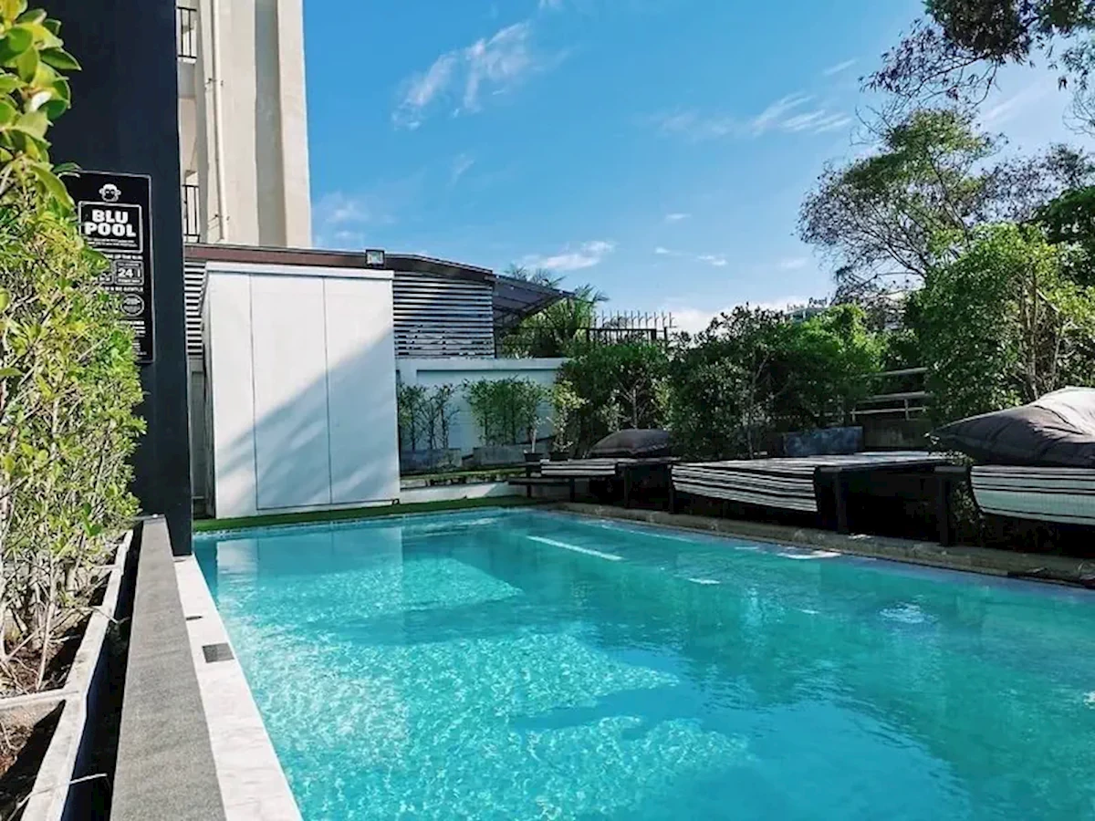 Główne zdjęcie galerii