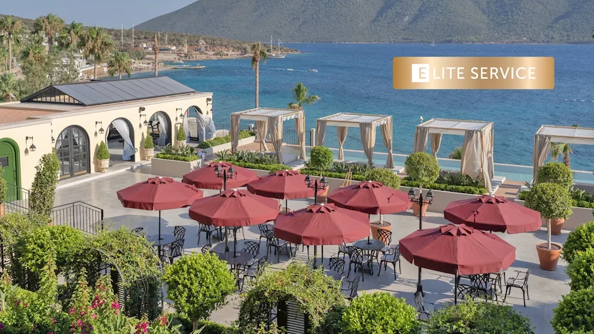 Hlavní obrázek galerie