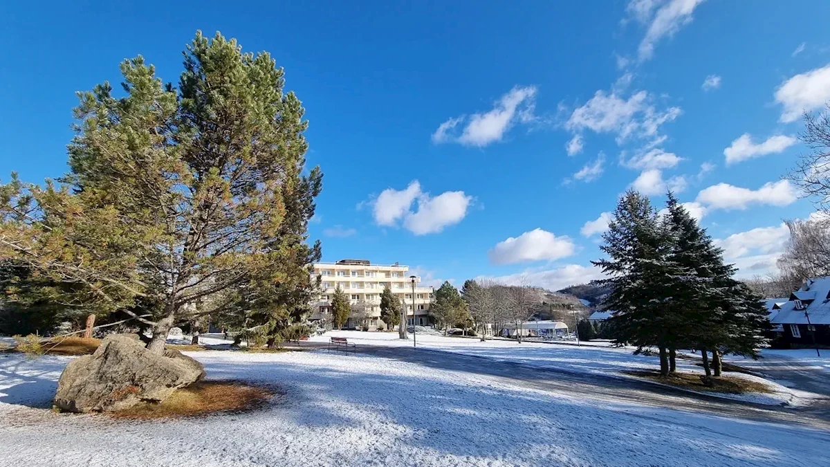 Główne zdjęcie galerii