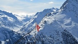 Marmotte