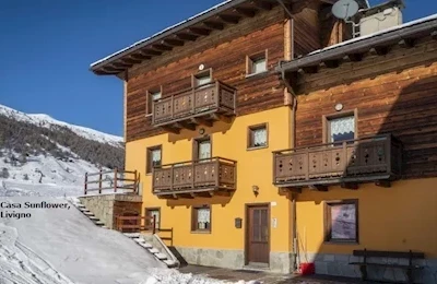 Chalet Sunflower