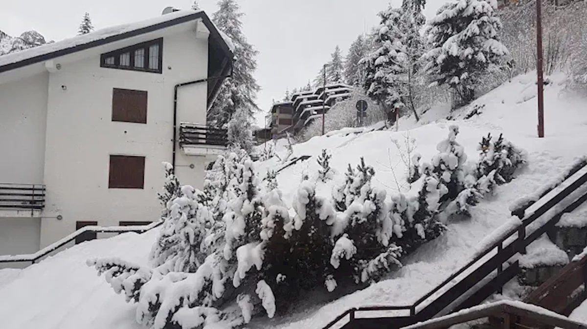 Główne zdjęcie galerii