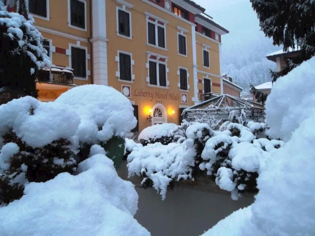 Główne zdjęcie galerii