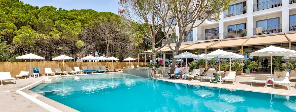 Hlavný obrázok galérie