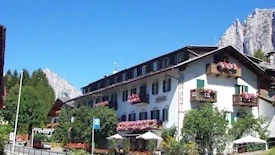 Menardi