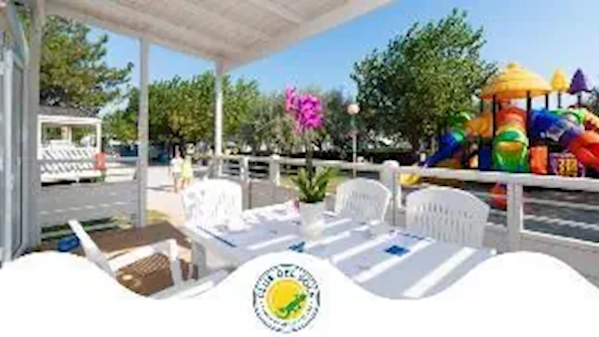 Główne zdjęcie galerii