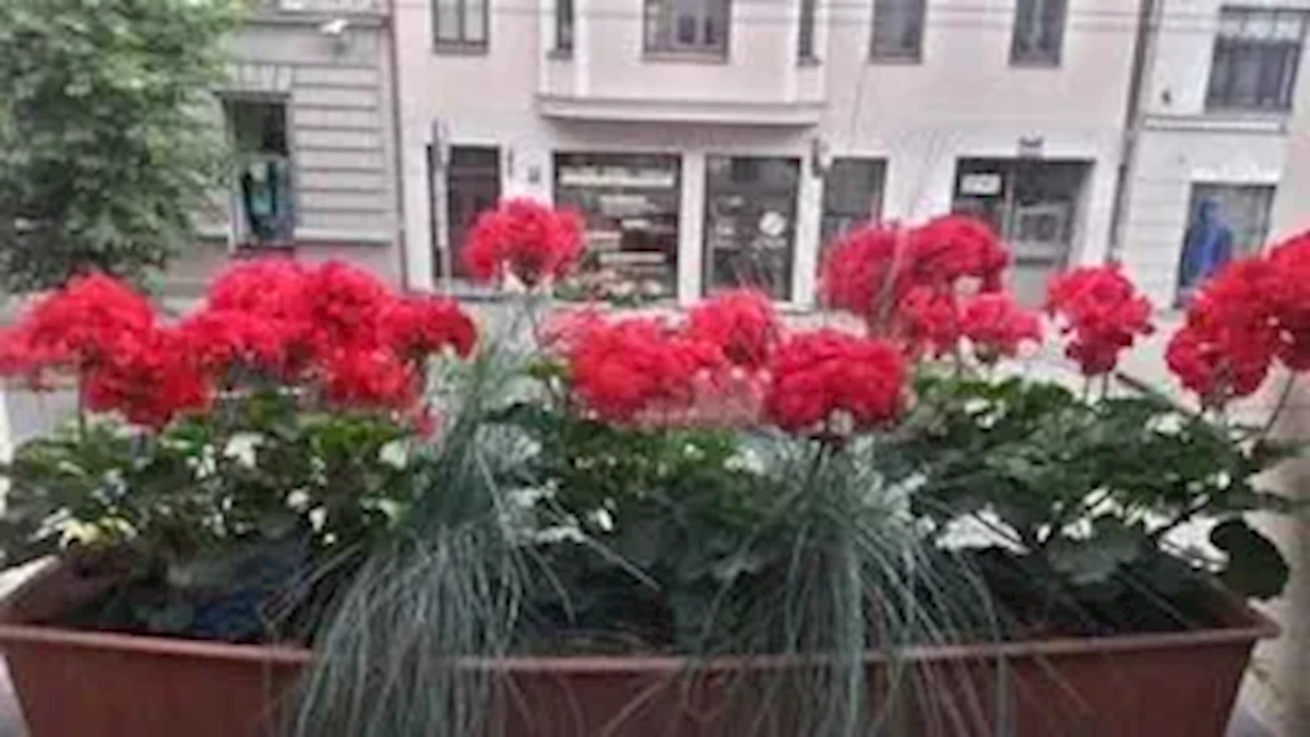 Hotel A1 (Riga)