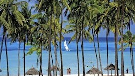 Dream of Zanzibar