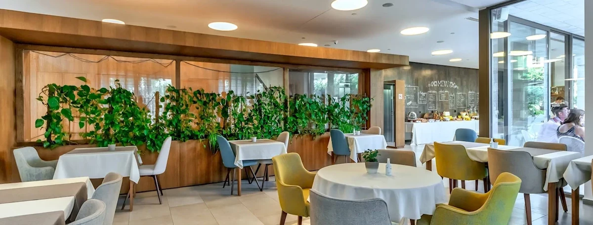 Hlavní obrázek galerie