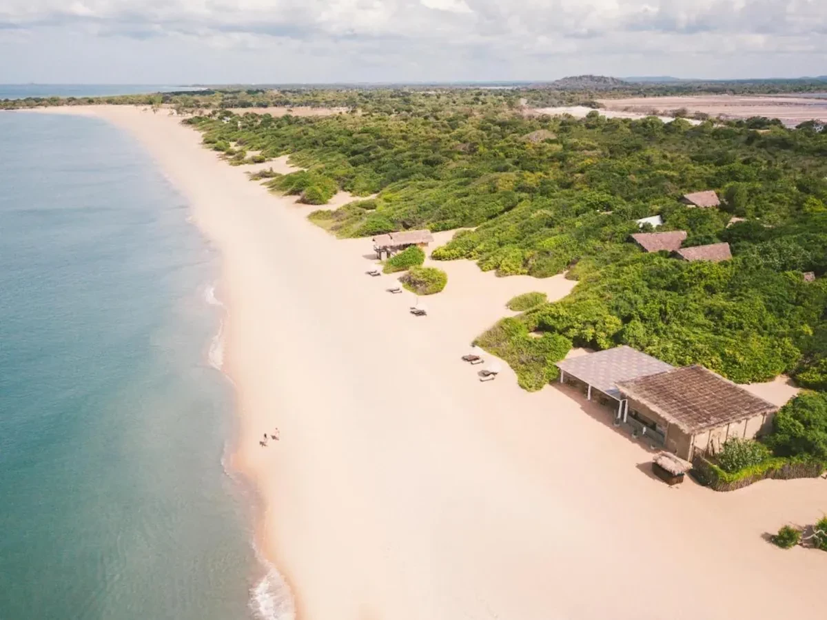 Główne zdjęcie galerii