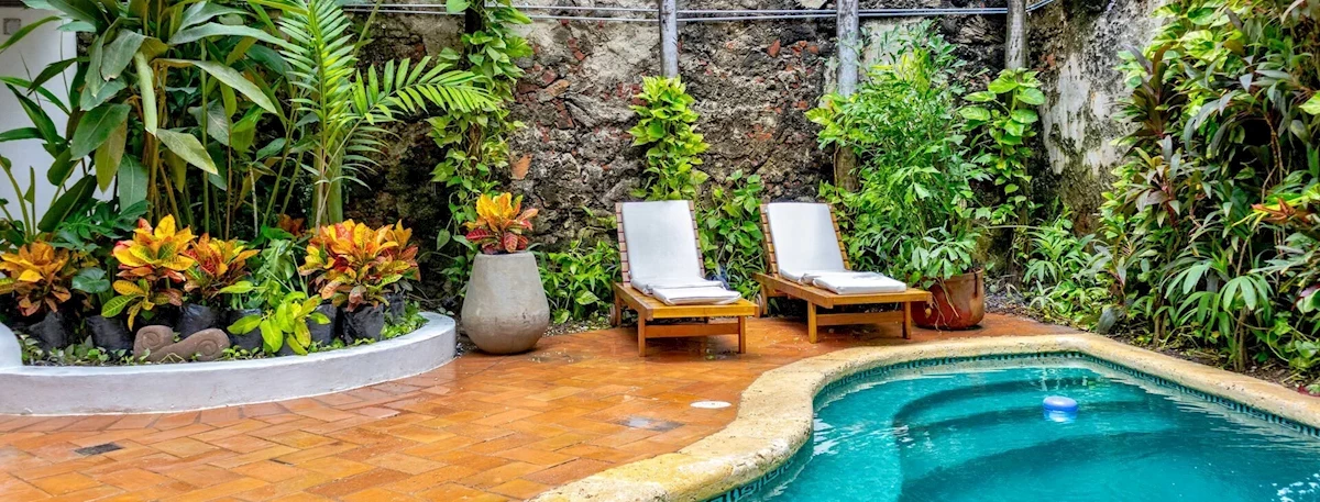 Hlavní obrázek galerie