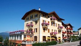 Stella delle Alpi