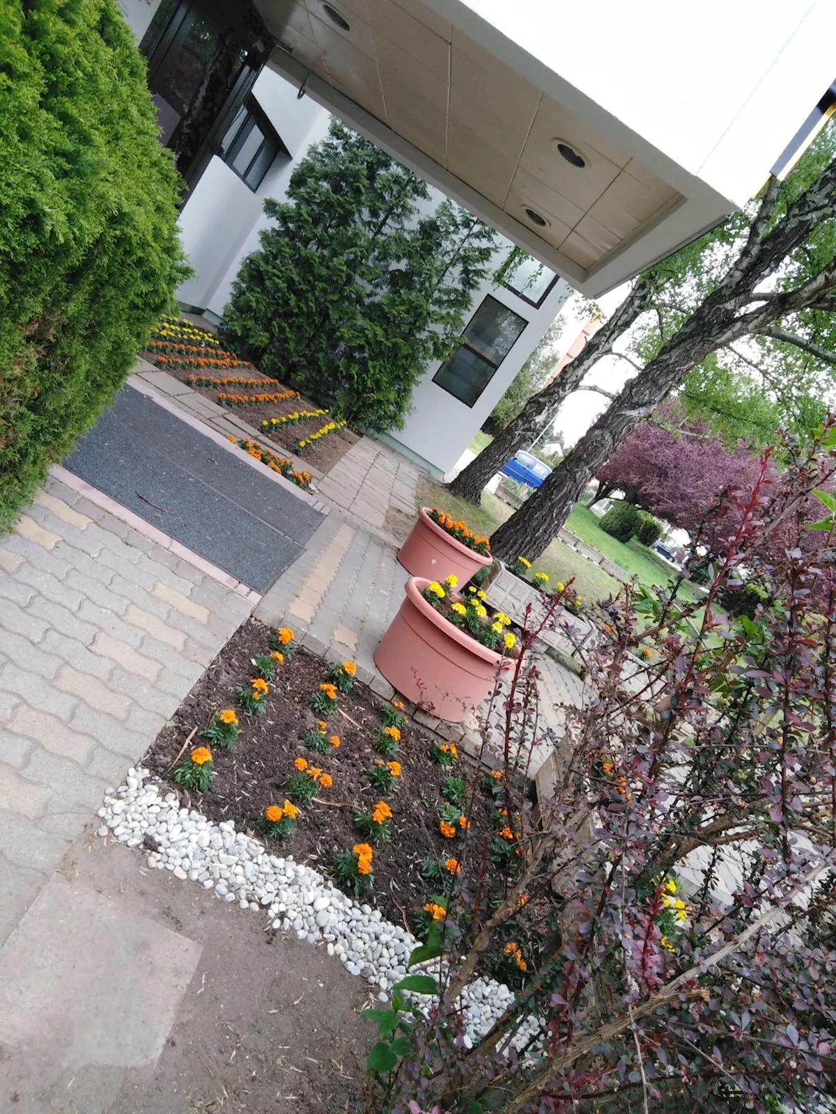 Główne zdjęcie galerii