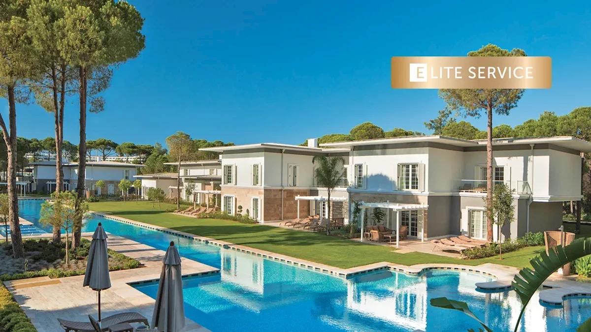 Hlavní obrázek galerie