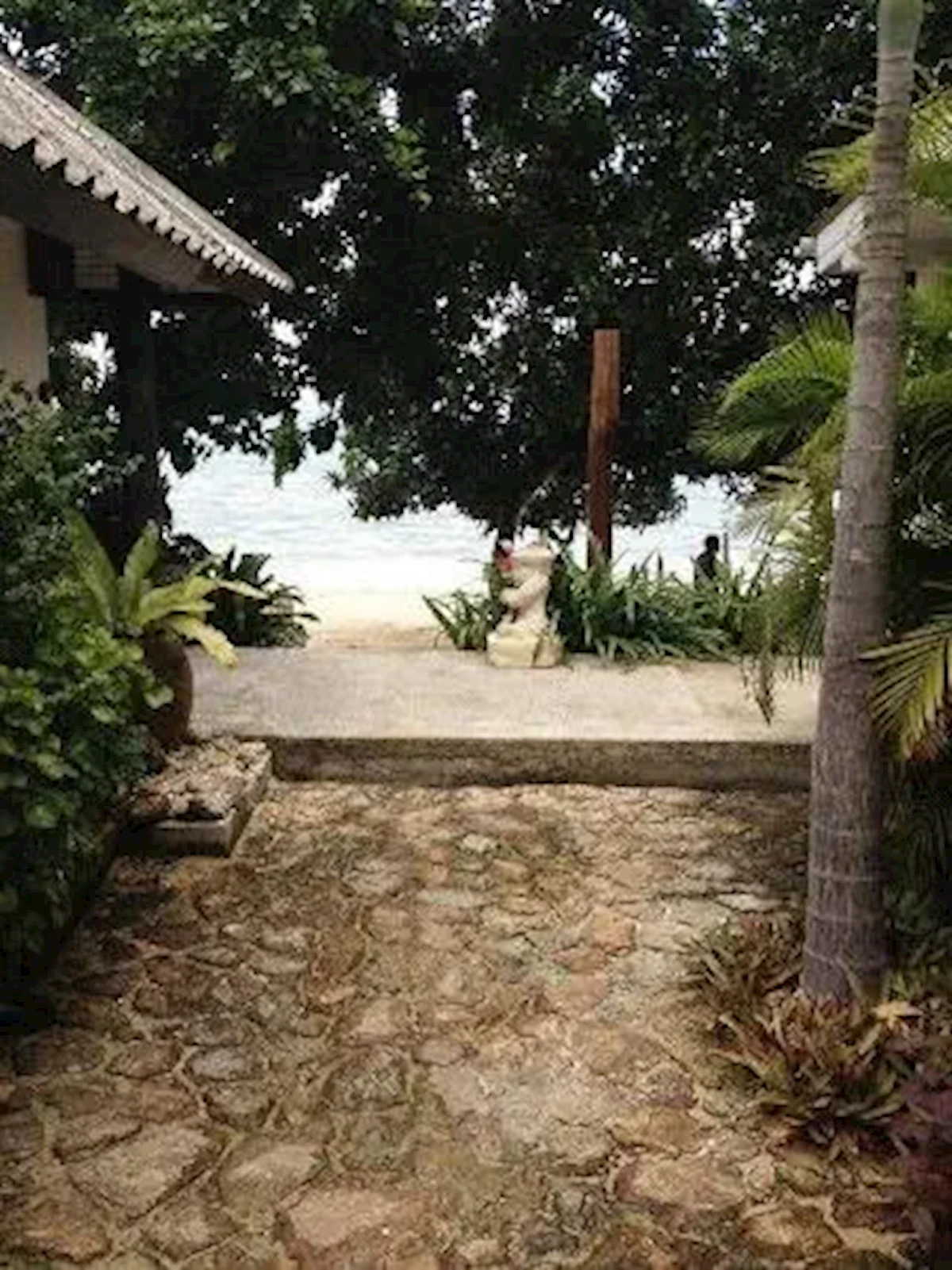 Główne zdjęcie galerii