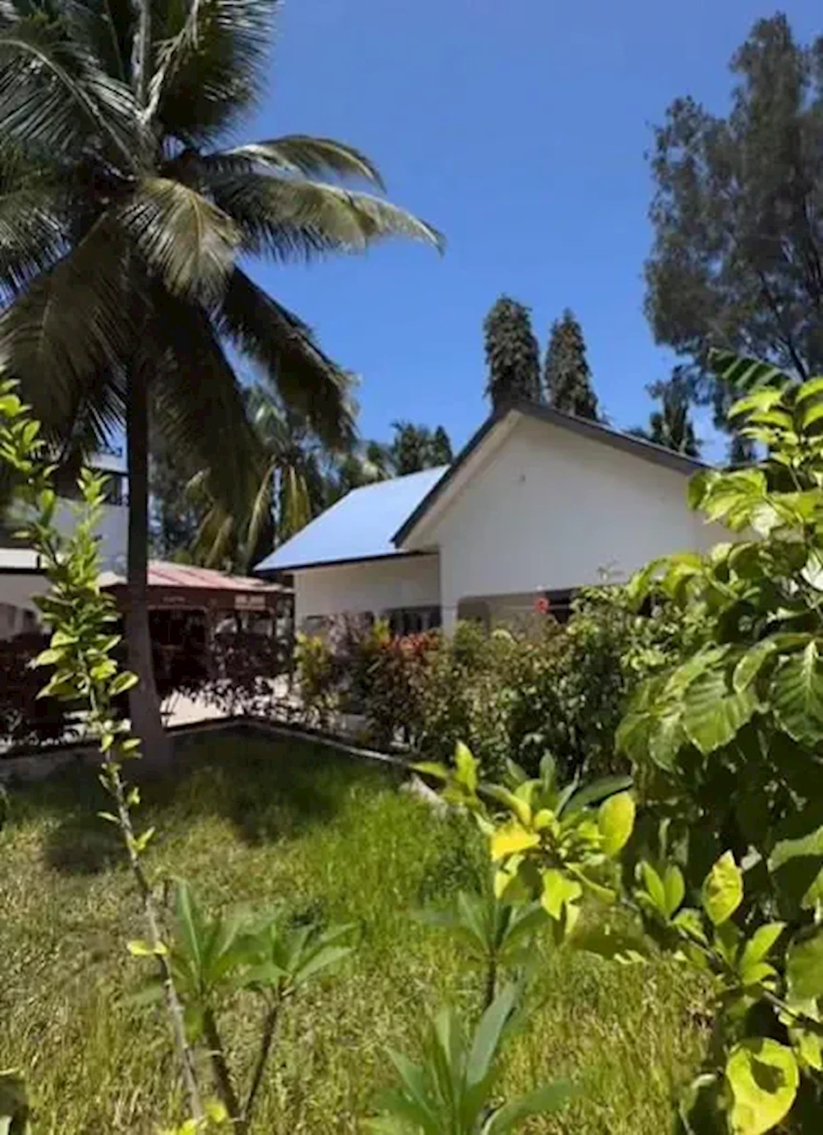 Główne zdjęcie galerii