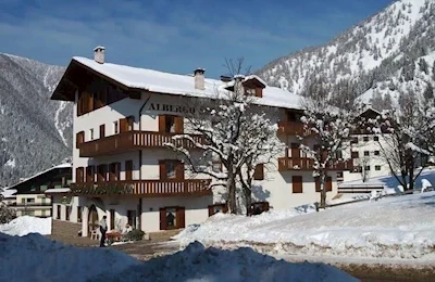 Stella Alpina