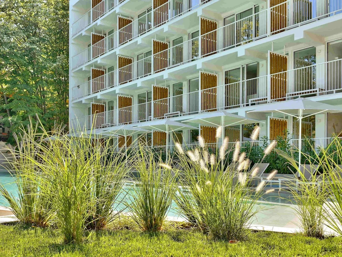 Główne zdjęcie galerii