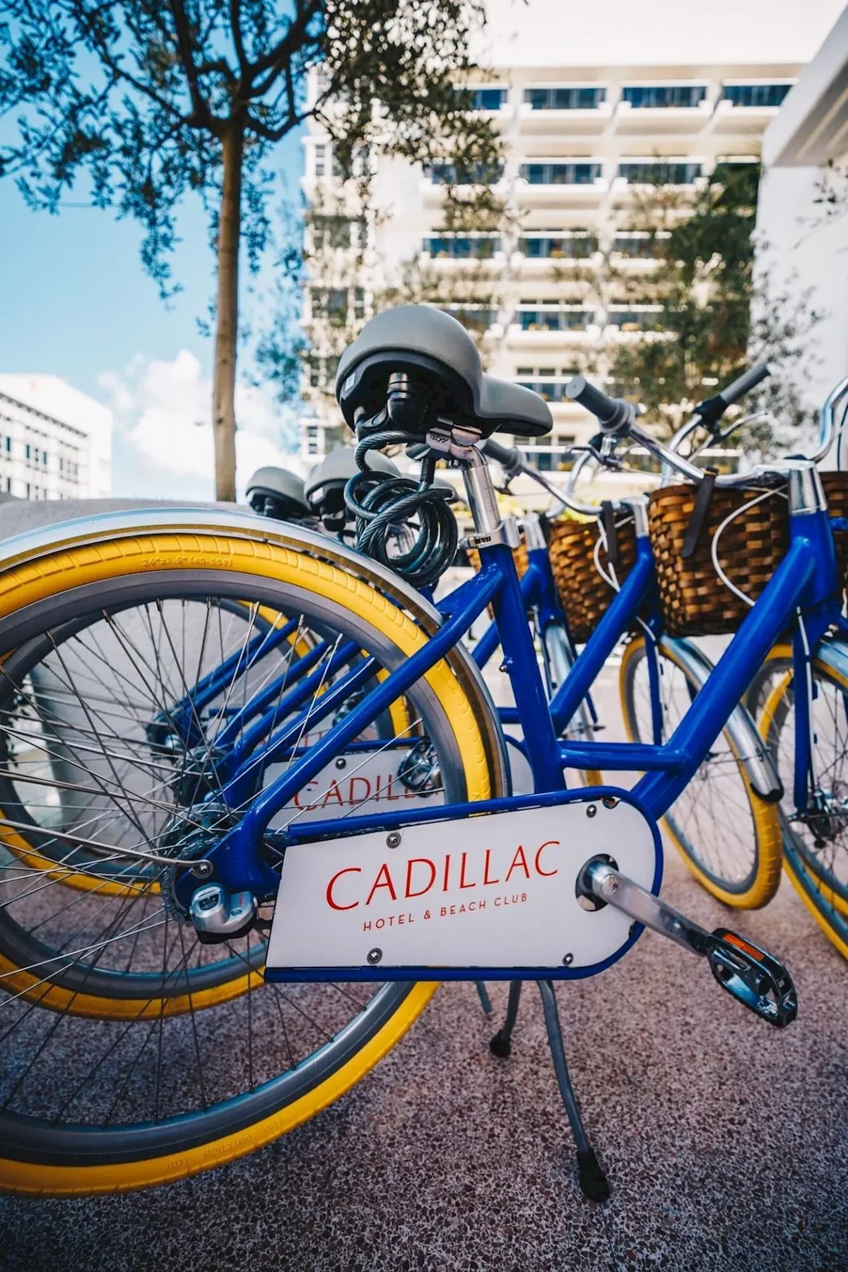 Główne zdjęcie galerii