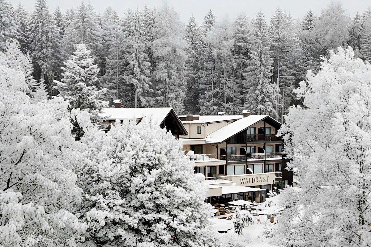 Hlavní obrázek galerie