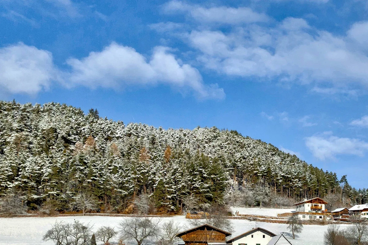 Hlavní obrázek galerie