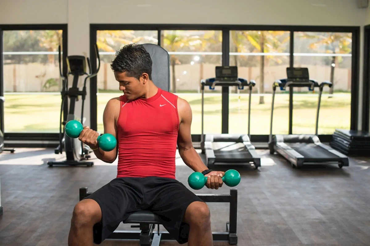 Główne zdjęcie galerii