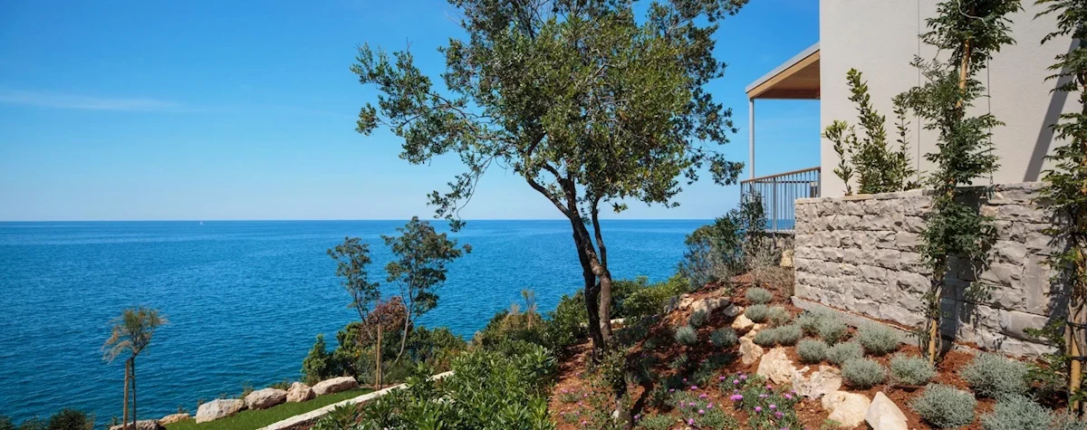 Główne zdjęcie galerii