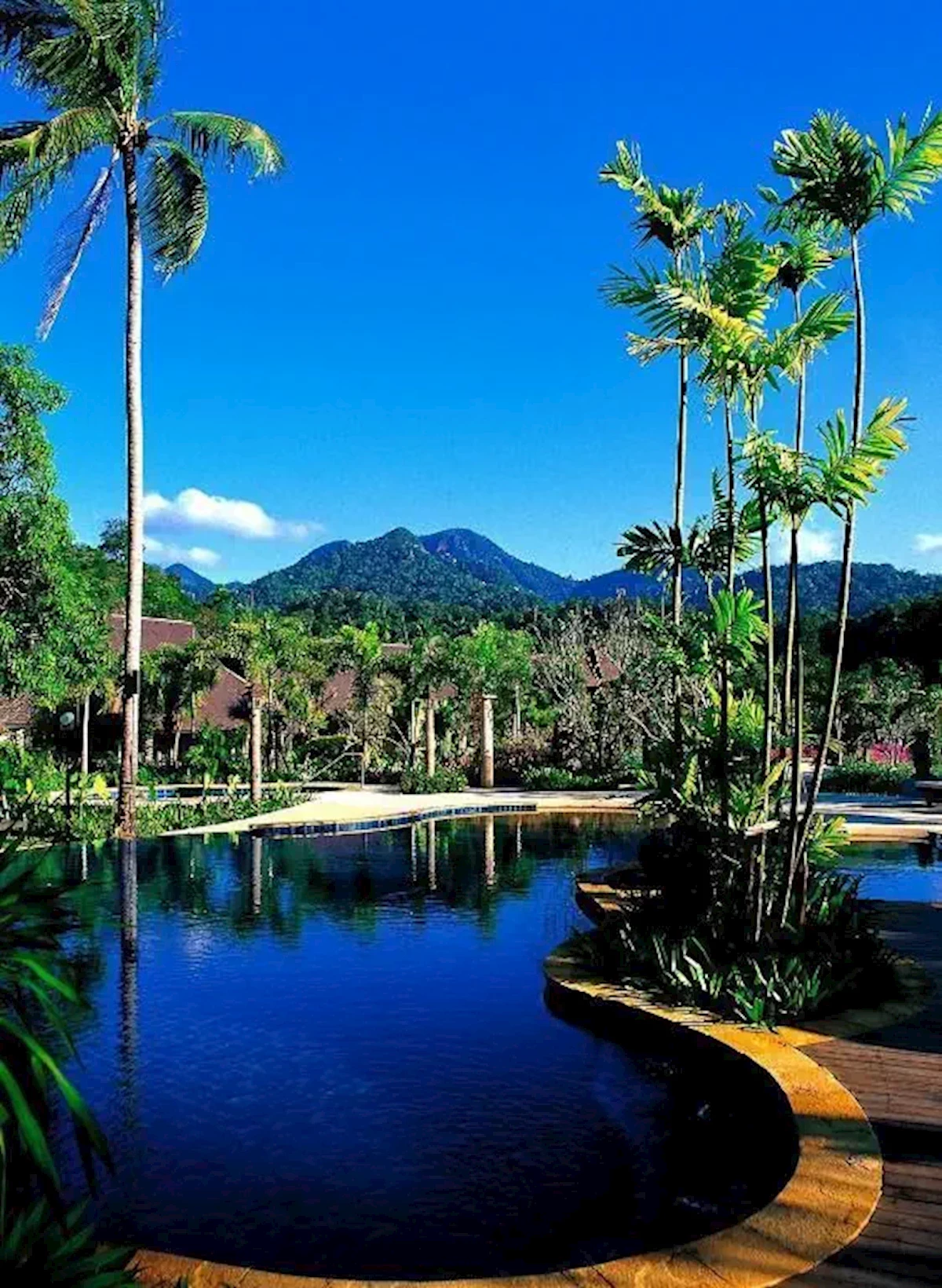 Główne zdjęcie galerii