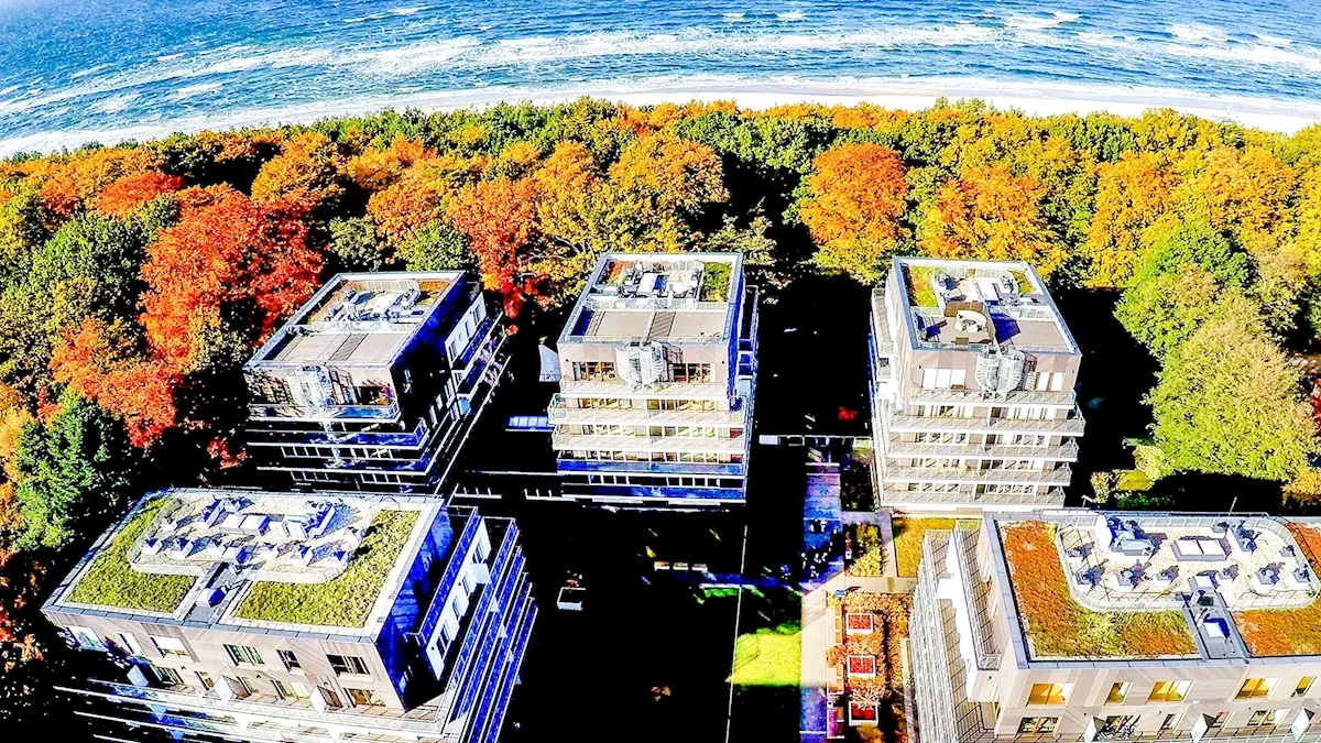 Główne zdjęcie galerii