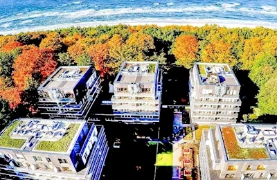 Golden Tulip (Mezizdroje)