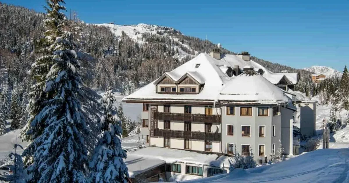 Główne zdjęcie galerii