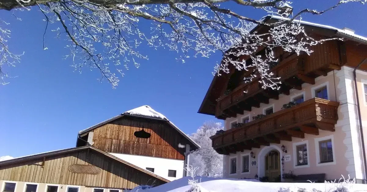 Główne zdjęcie galerii