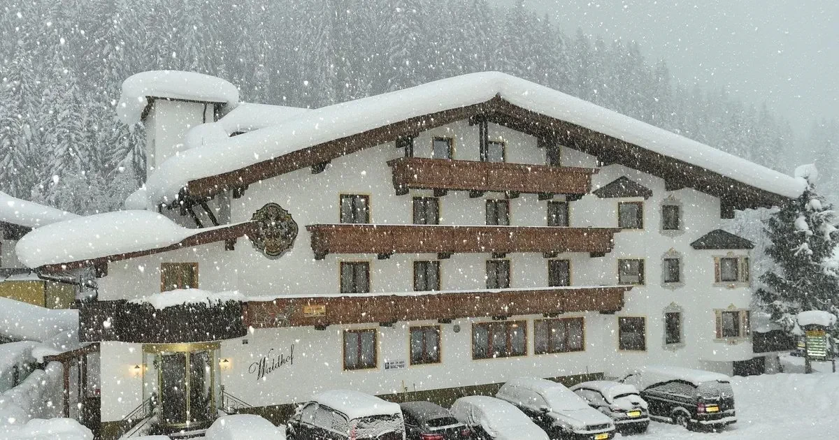 Główne zdjęcie galerii