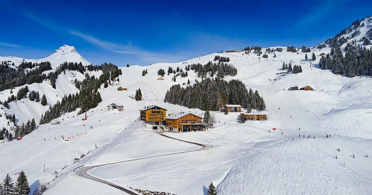 Główne zdjęcie galerii