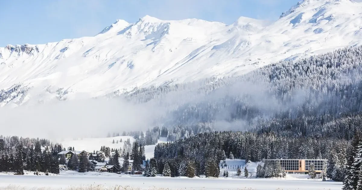 Główne zdjęcie galerii