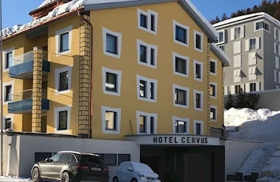 Boutique Cervus