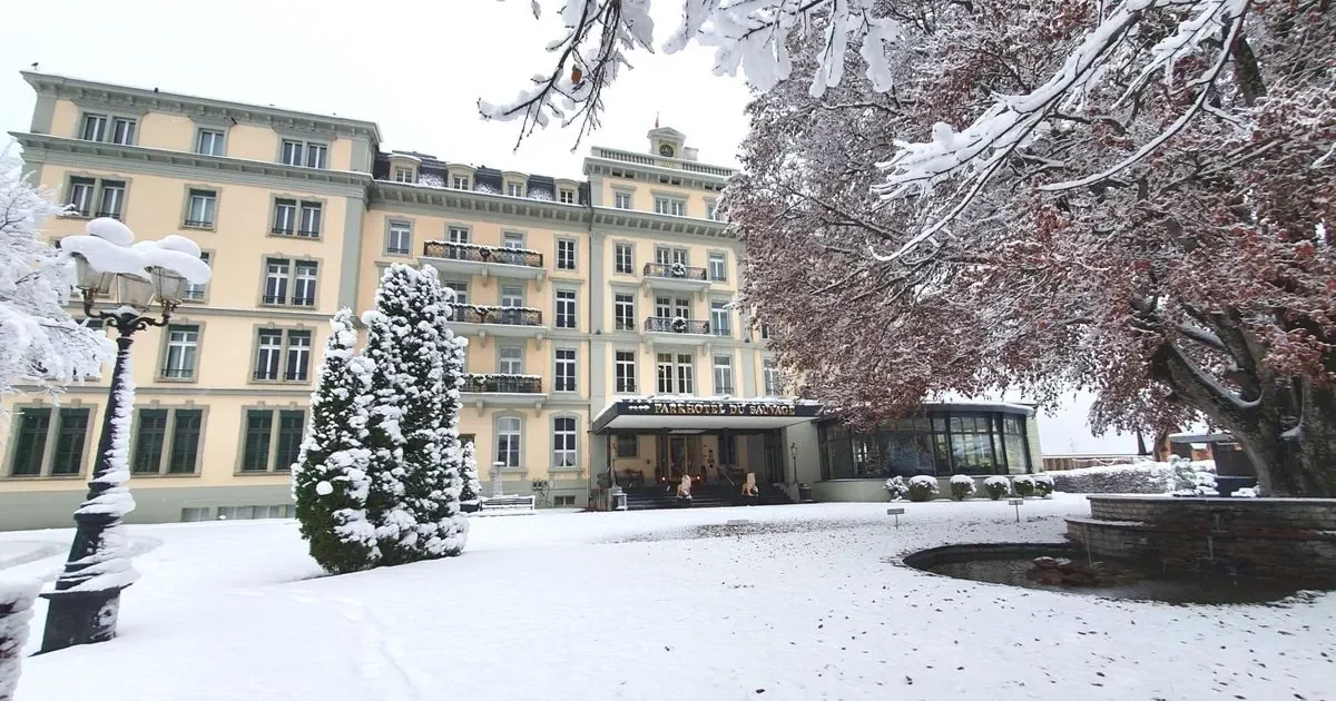 Główne zdjęcie galerii