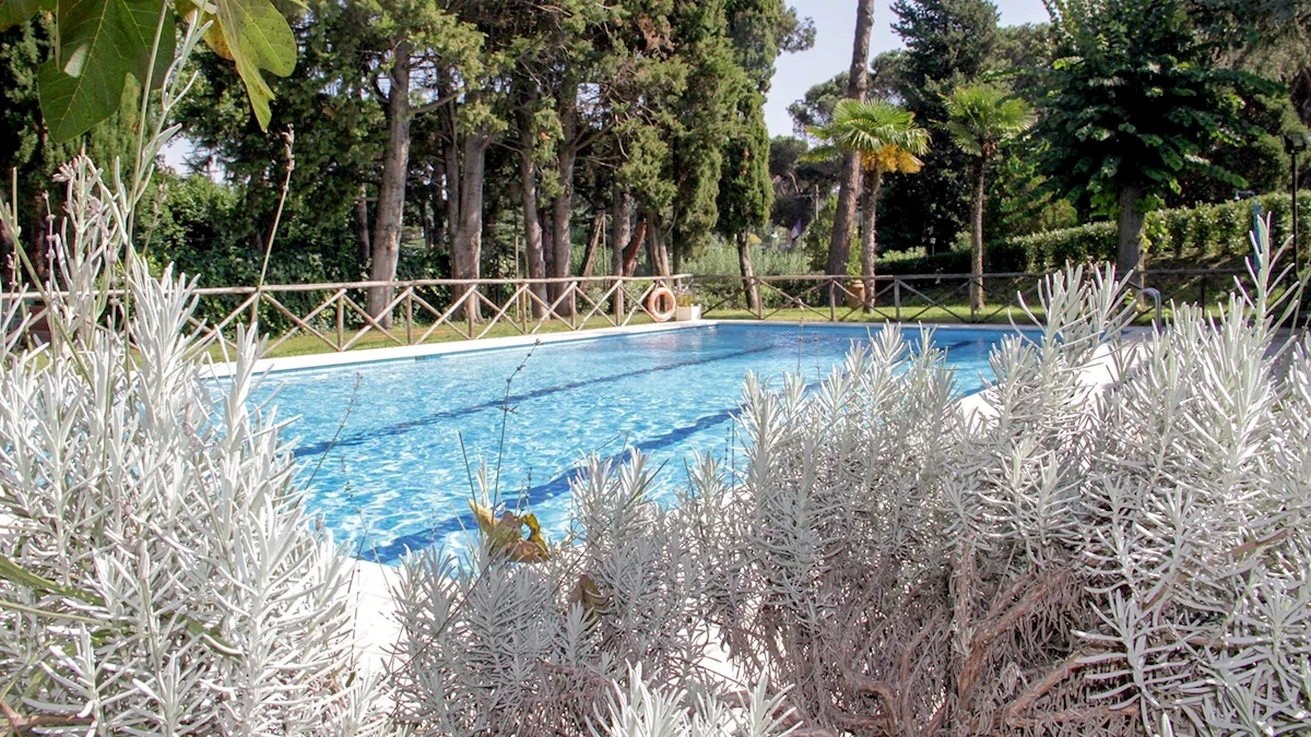 Hlavný obrázok galérie