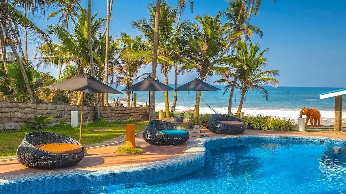 Główne zdjęcie galerii