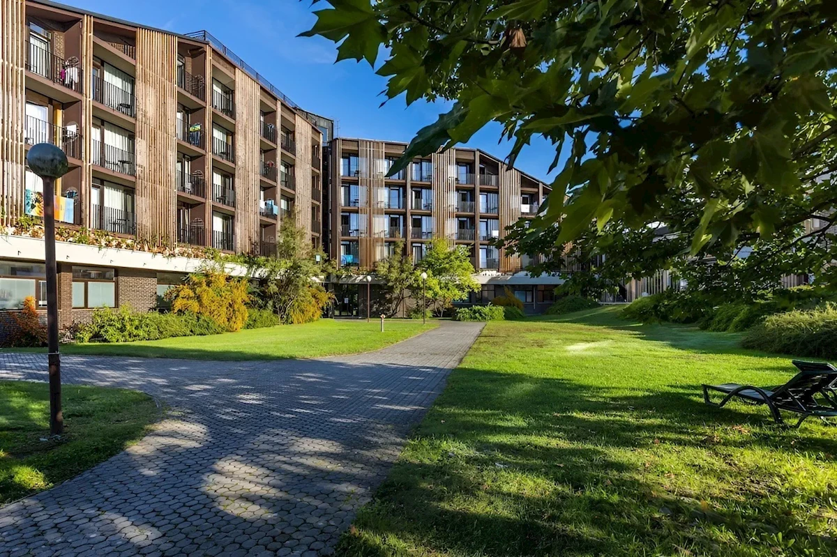 Główne zdjęcie galerii