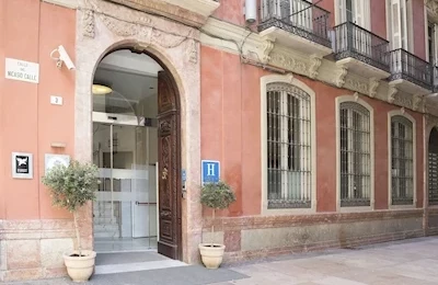 Petit Palace Plaza
