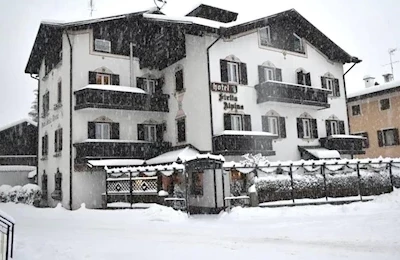 Stella Alpina (Bellamonte)