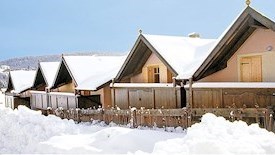 Alpine Smart Residence
