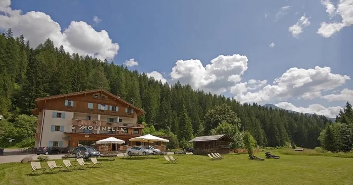 Główne zdjęcie galerii