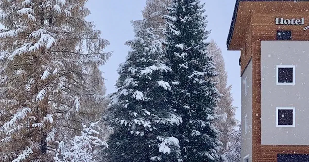 Główne zdjęcie galerii