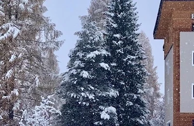 Park Sancelso (Bellamonte Di Predazzo)