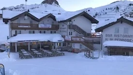Alpenrose (Passo Rolle)