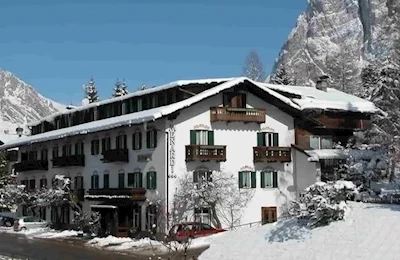 Menardi